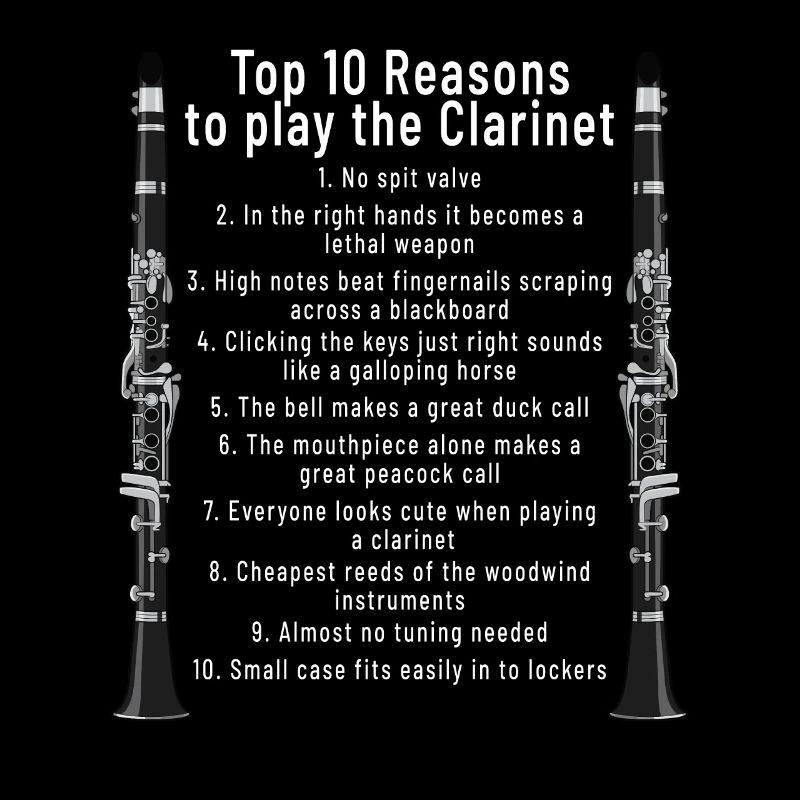 Clarinet Player Orchestra Musicians