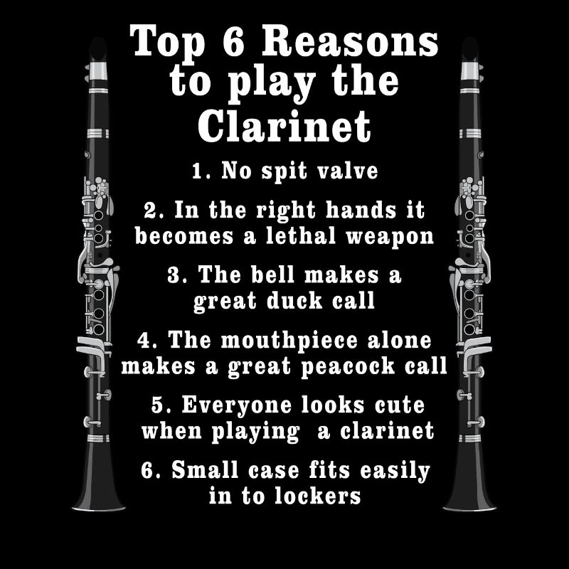 Clarinet Player Orchestra Musicians