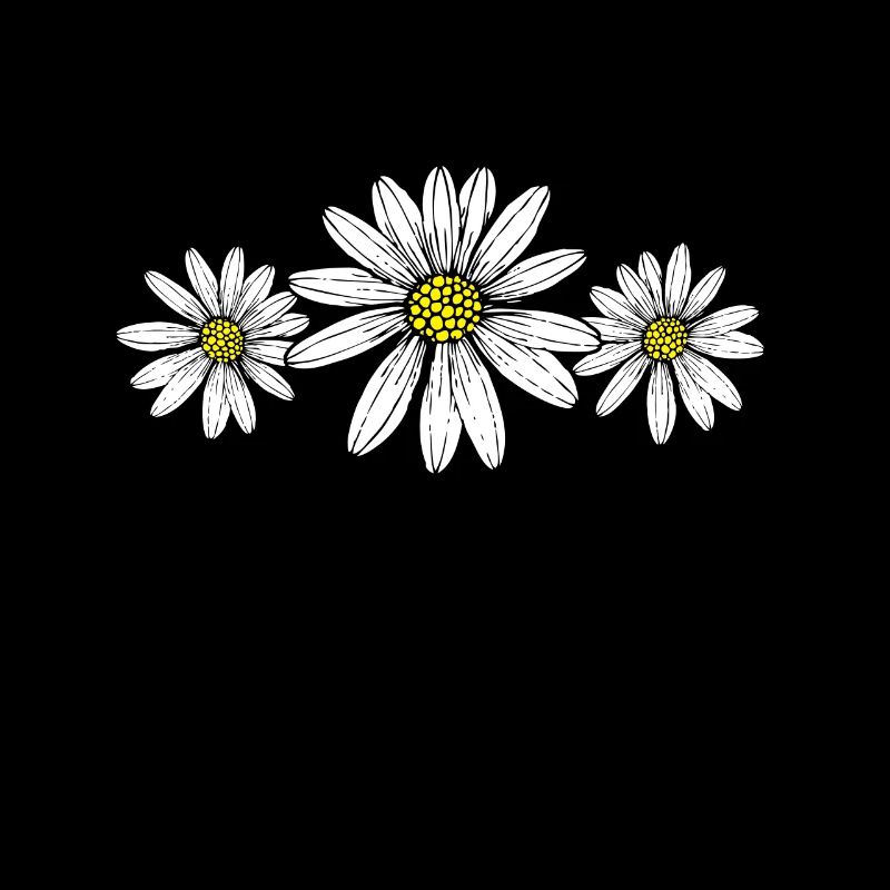 Daisy daisy gift