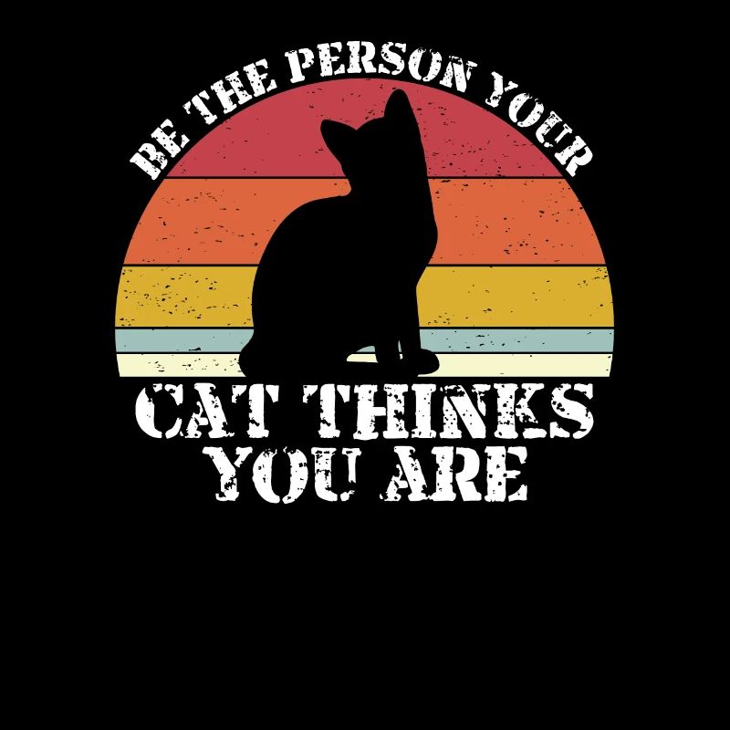 Chat Chats Sunset Amis chats