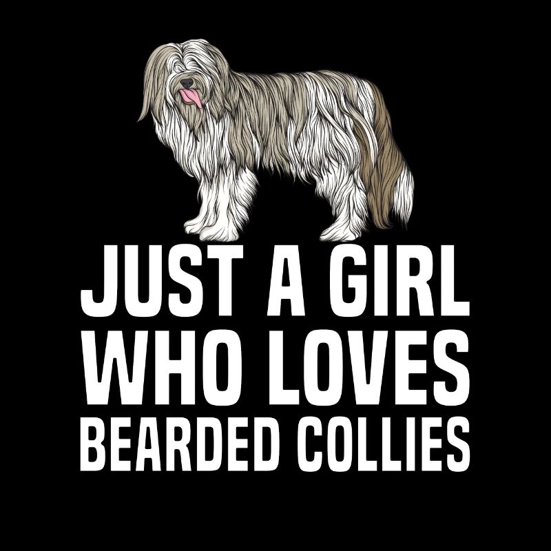 Collie barbu