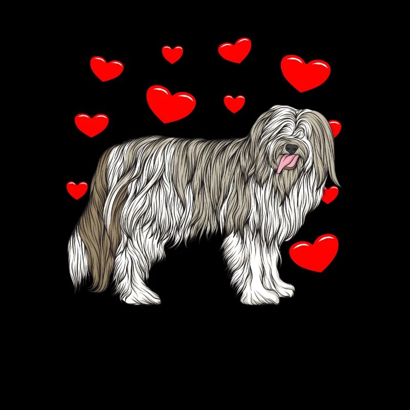 Bearded Collie