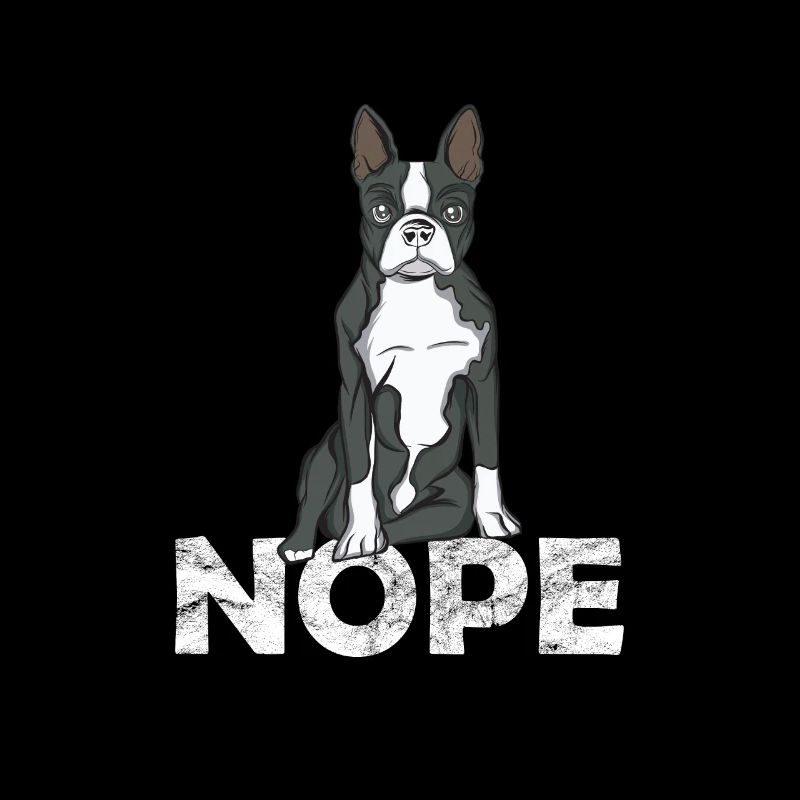 Boston Terrier