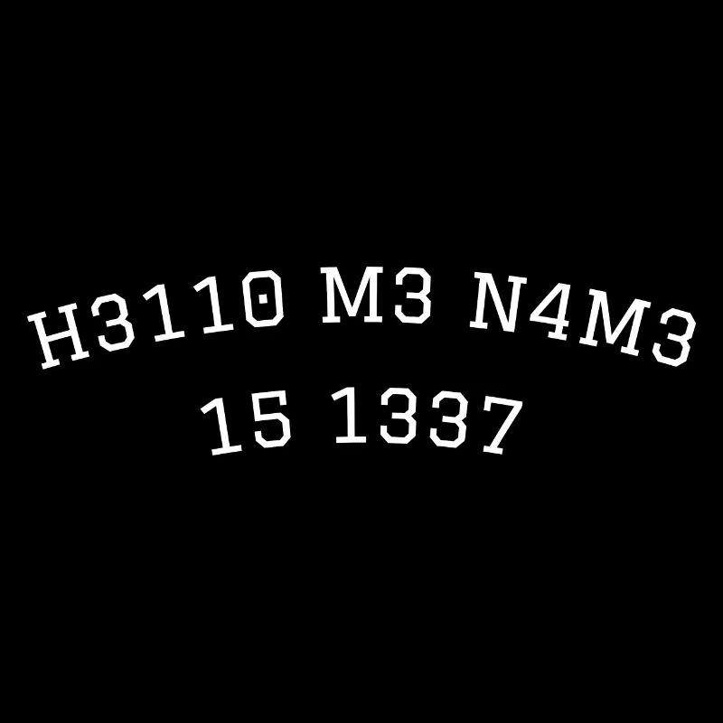 leetspeak leet my name is hello code gamer 1337