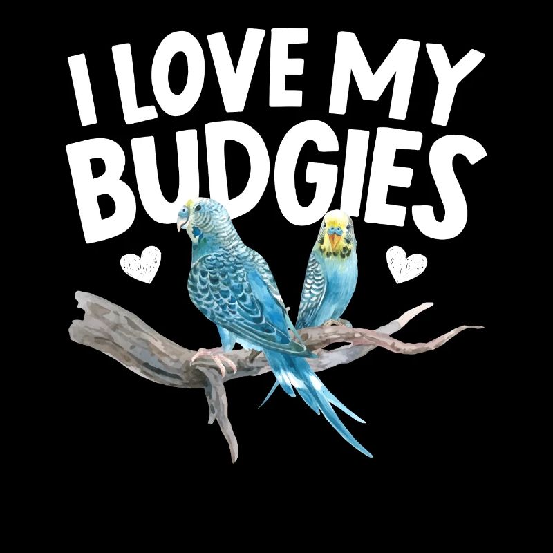 J’aime mes perruches Observation des oiseaux Budgerigar Birding