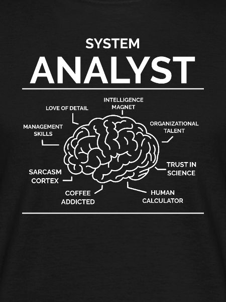 Systems analyst