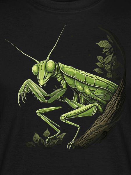 Praying mantis insect