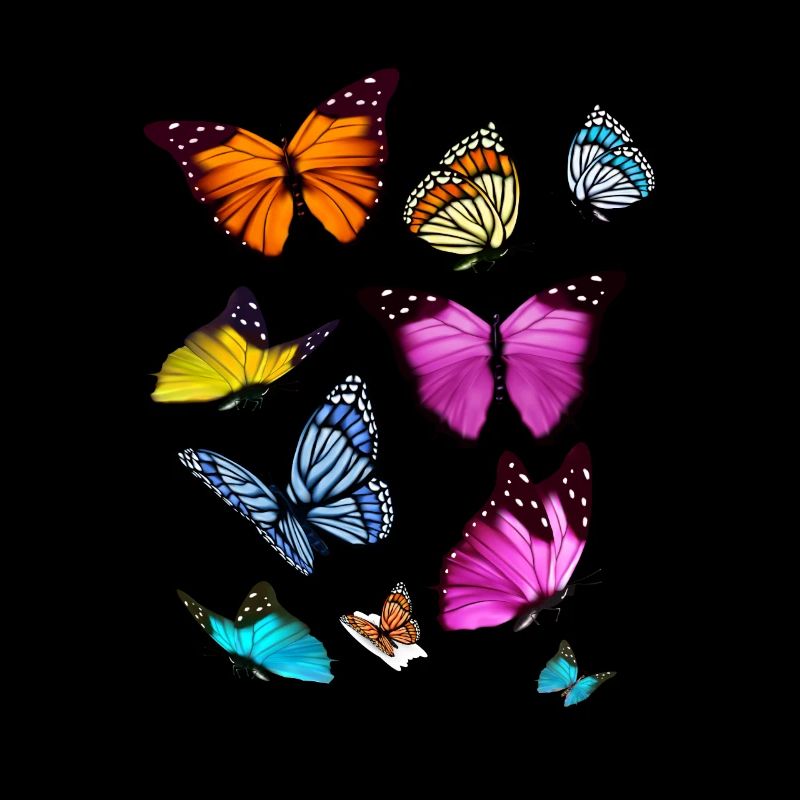 Espèce de papillon Insecte papillon