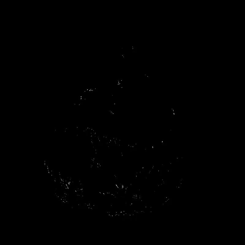 Kopf Schwarz