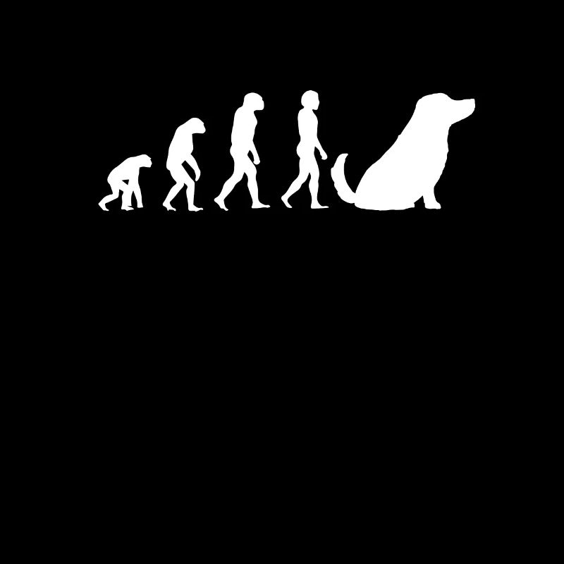 Dog Pet Evolution Dog Owner