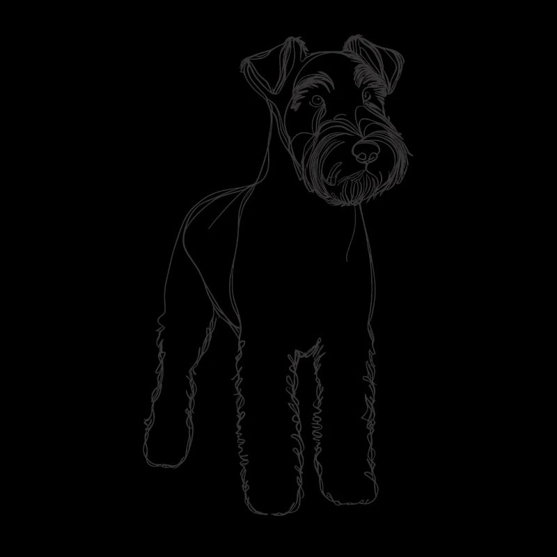 Terriers terriers bleus Kerry