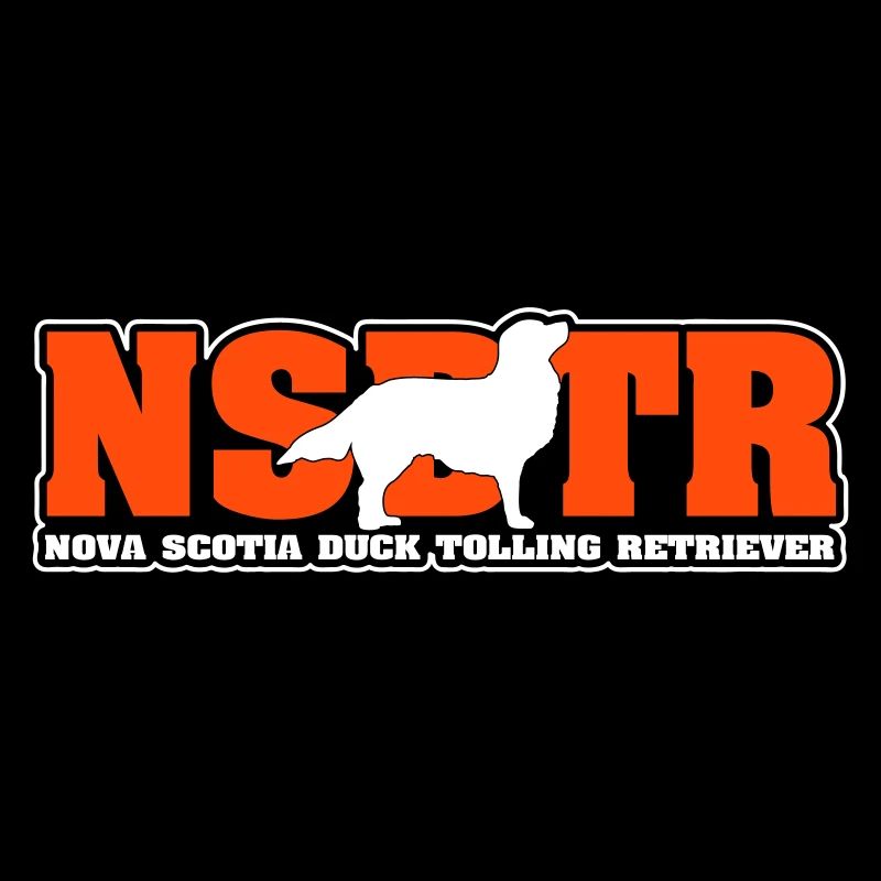 NOVA SCOTIA DUCK TOLLING RETRIEVER NSDTR