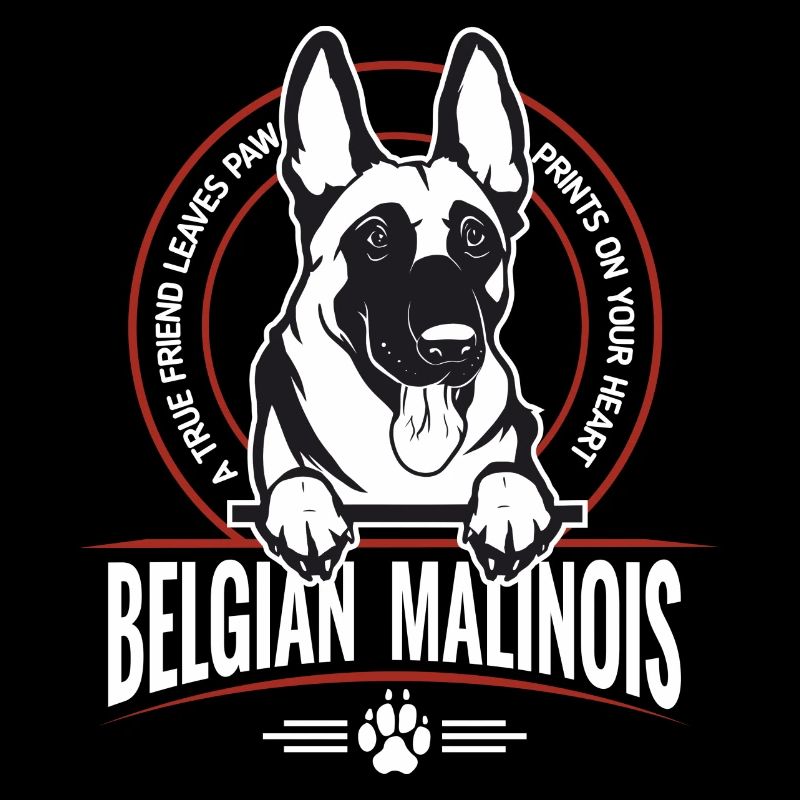 Belgian Malinois