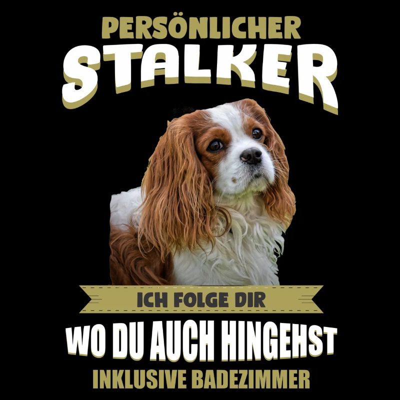 Cavalier King Charles - Cavalier King Charles