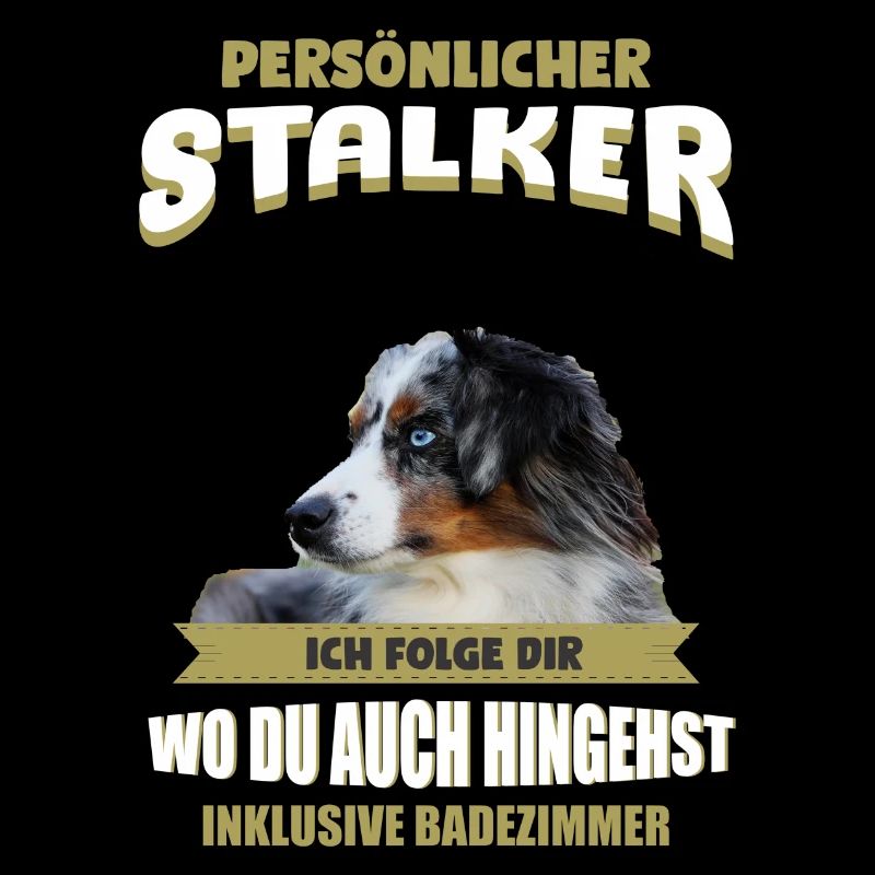 Australian Shepherd Hund - Australian Shepherd