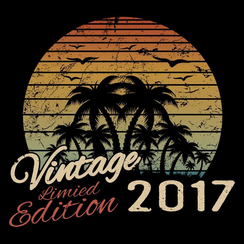 Vintage 2017 Anniversaire Cadeau 2017 Rétro 2017