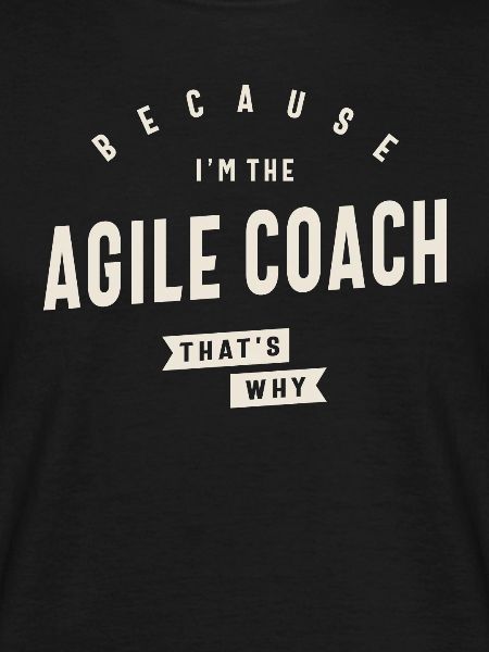 Beruf des Agile Coaches
