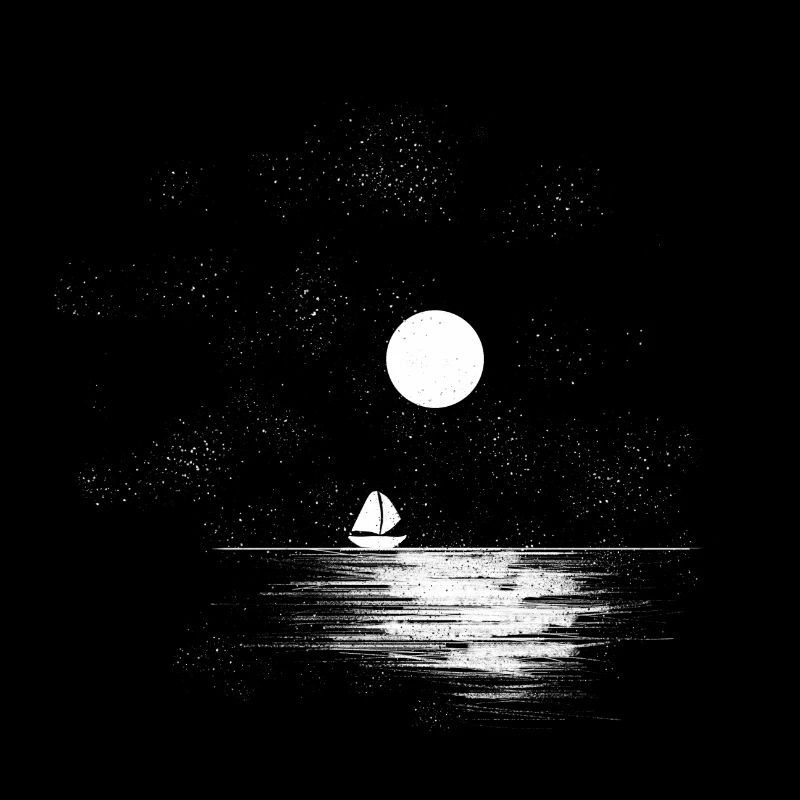 Nuit de lune