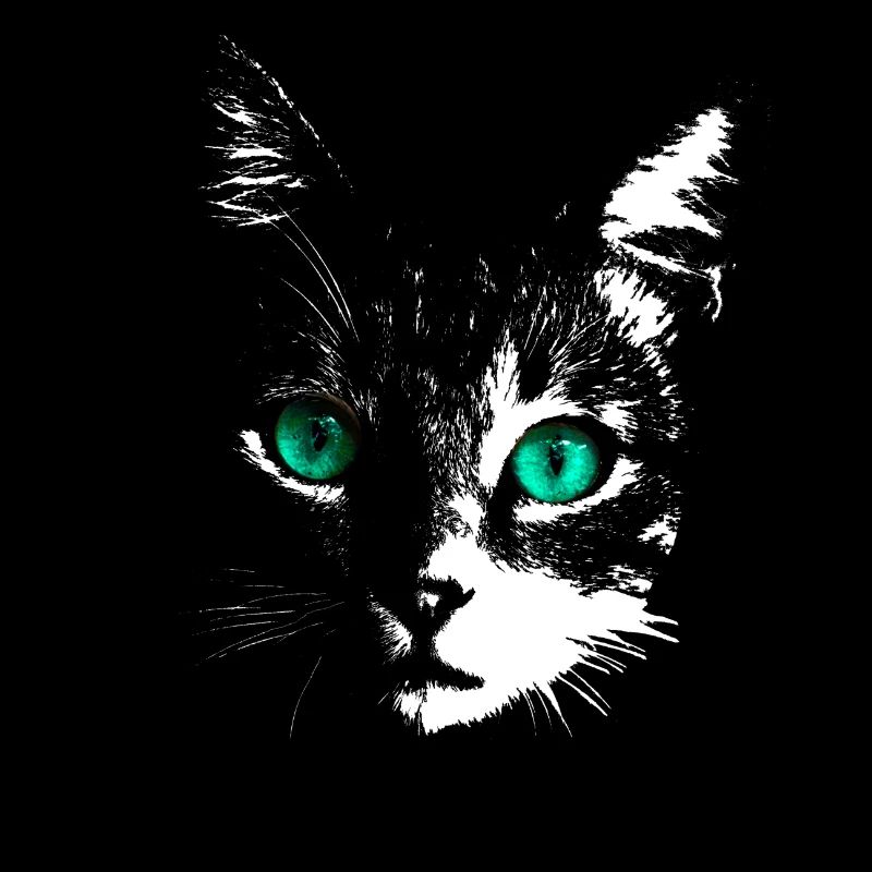 Gloweyecat
