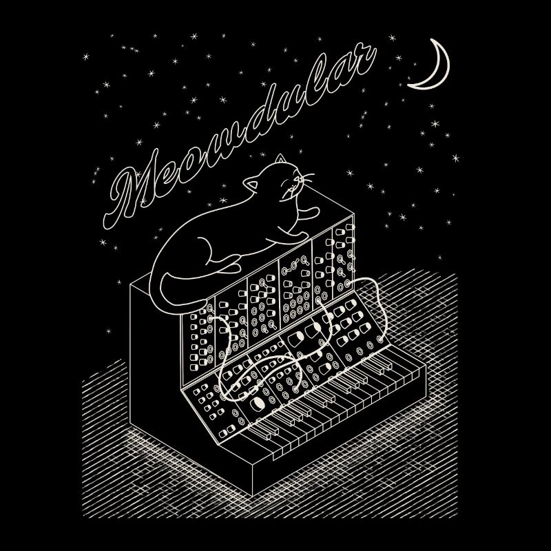 Cat on Modular Synthesizer Funny Synth