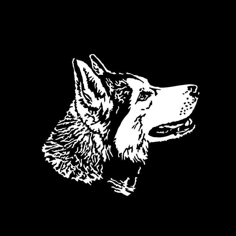 154 Husky