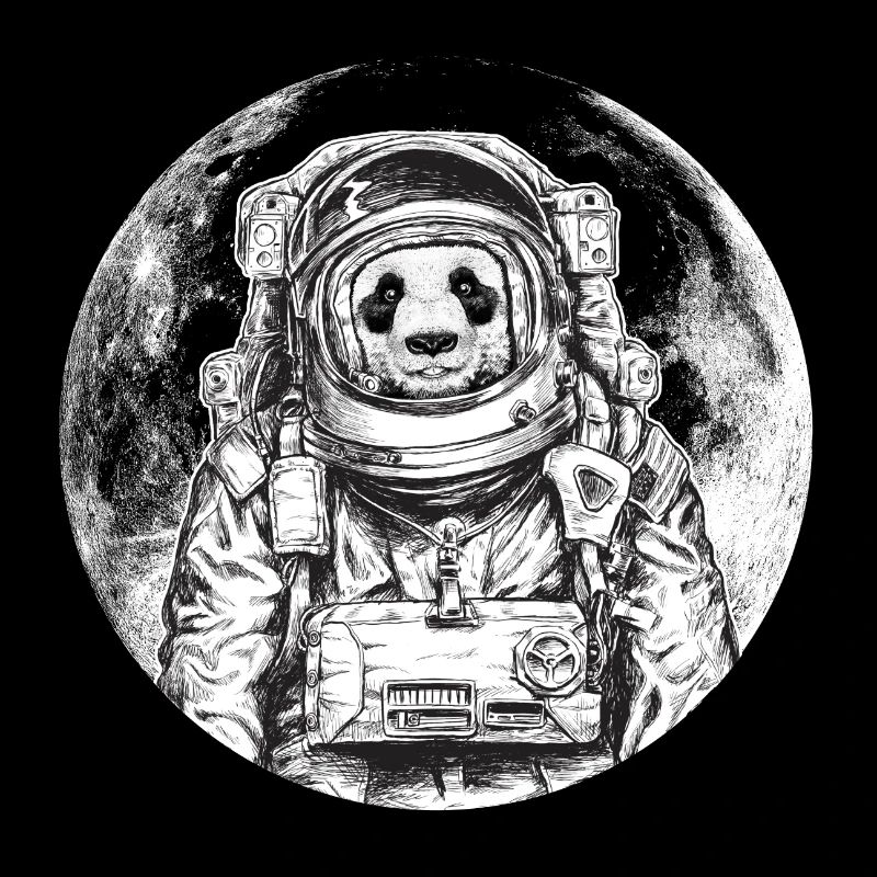 Panda astronaut bear moon wildlife space