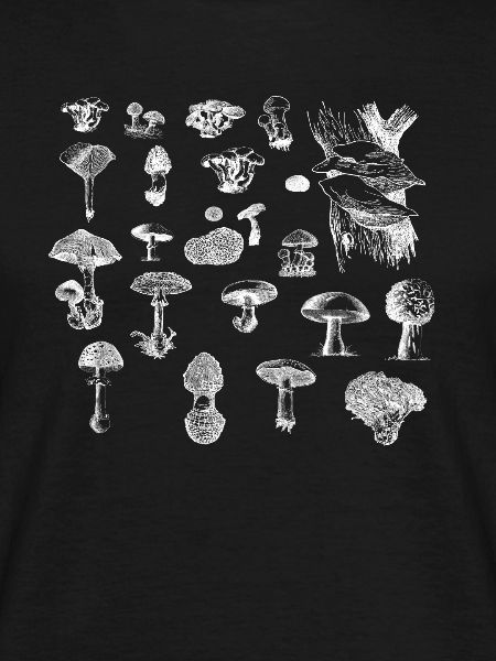 Pilz-Sammlung
