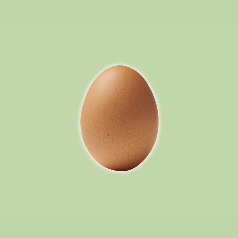 Oeuf