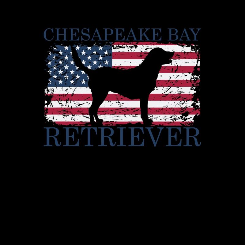 Chesapeake Bay Retriever avec drapeau des États-Unis