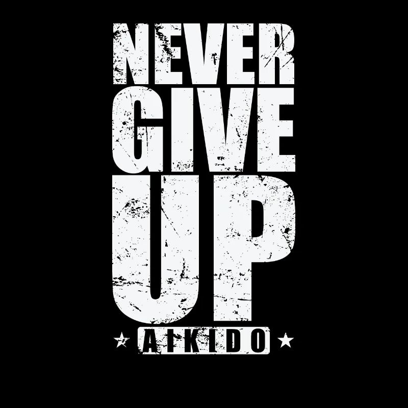 Never Give Up Aikido Training Martial Arts