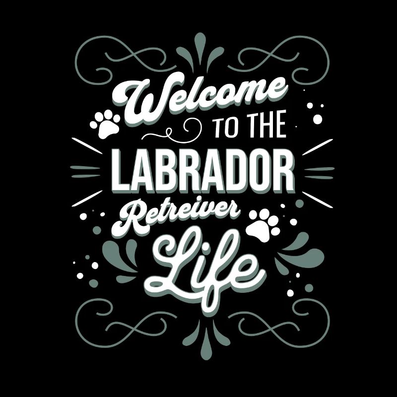 Labrador