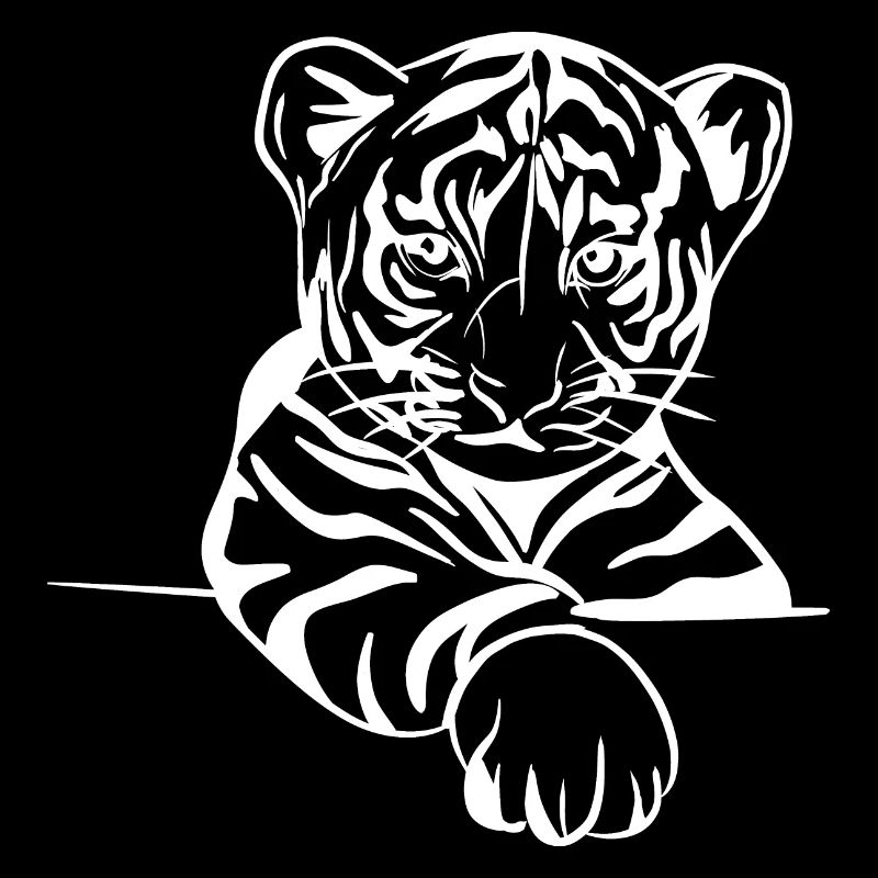 Bébé Tigre