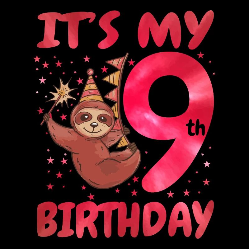 9th Birthday Cute Sloth Party Hat Theme