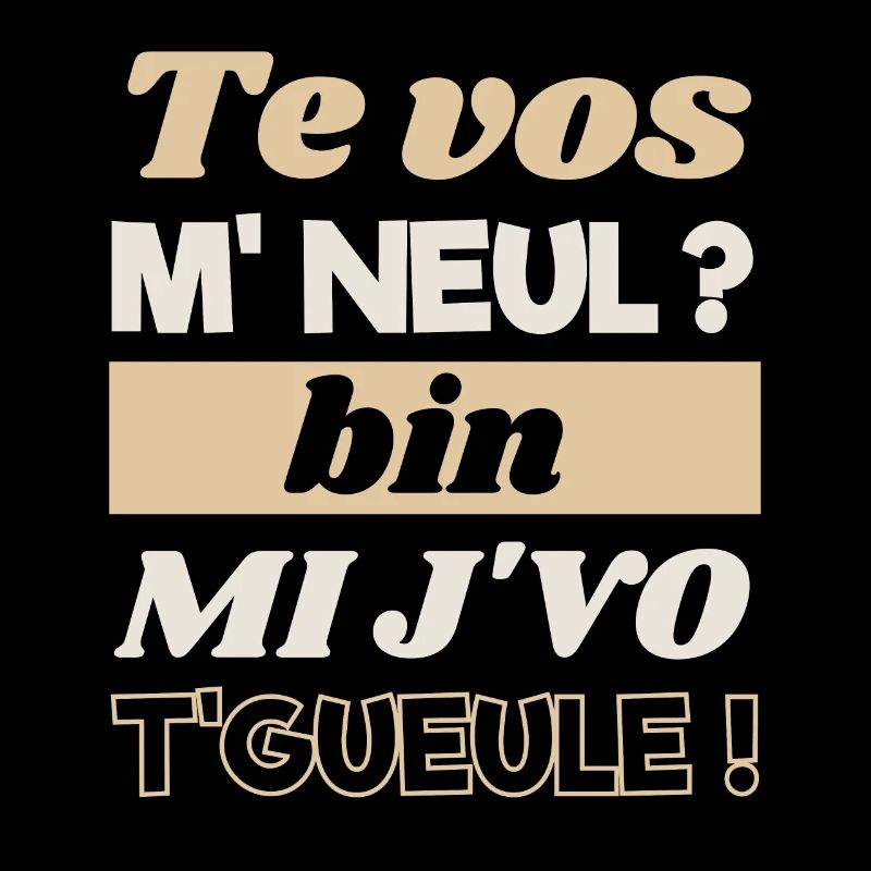 Tes vos m'neul bin mi j'vo t'gueule chti humour