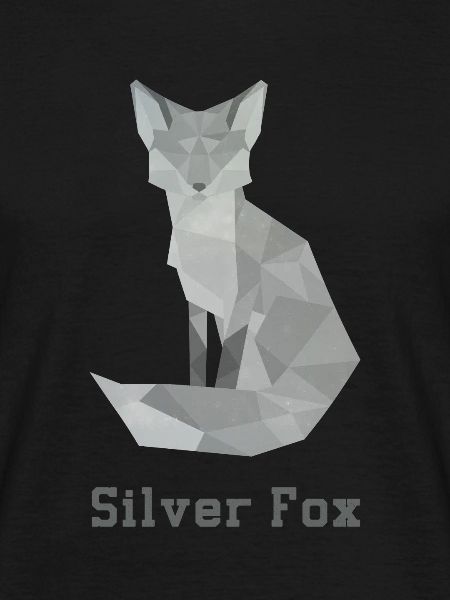 Silver fox, abstract
