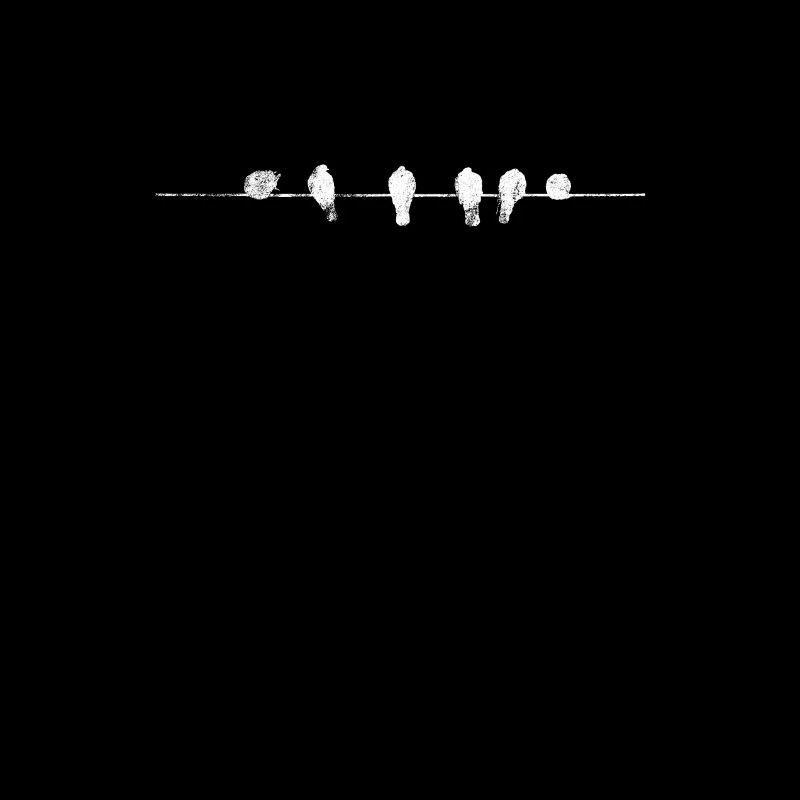 Oiseaux volée d'oiseaux