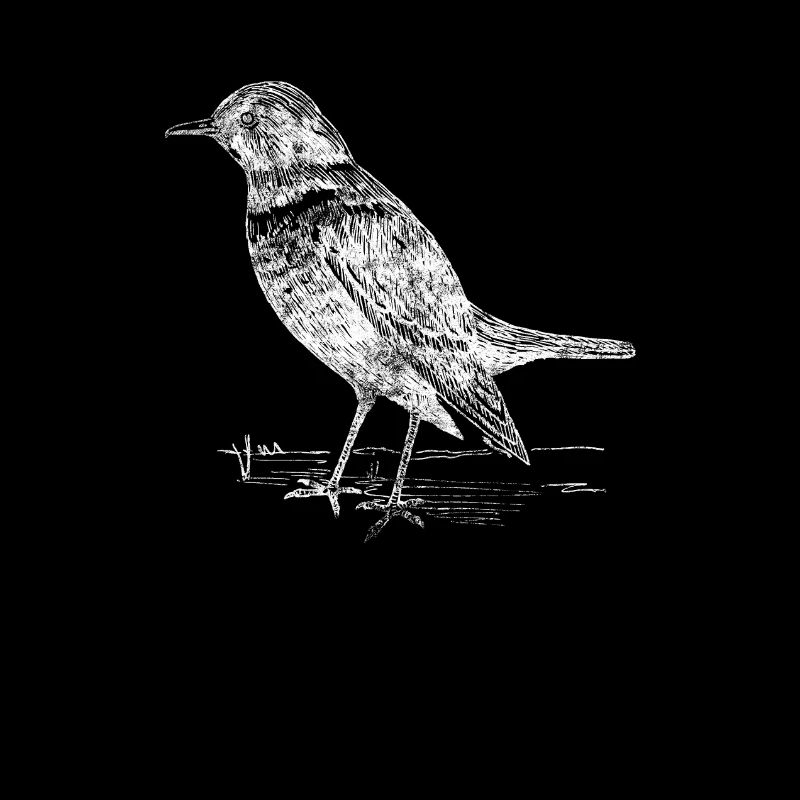 Vogelbeobachten