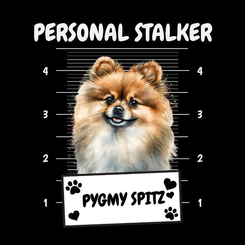 Petit harceleur drôle Pygmy Spitz