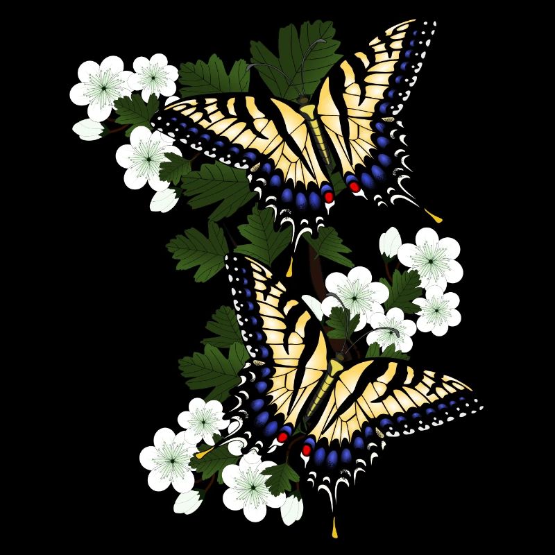 Sail butterfly on hawthorn