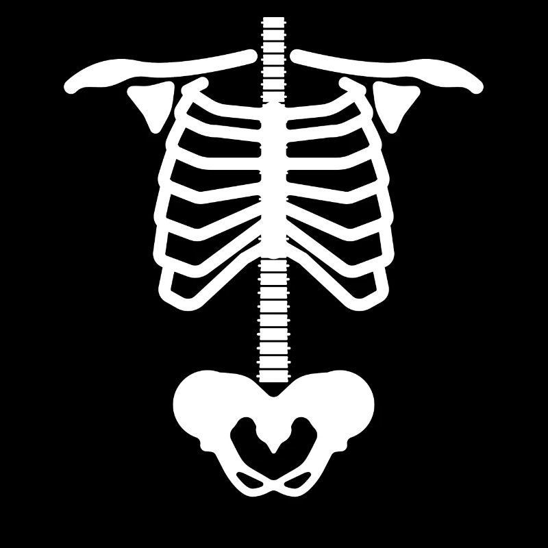 Skeleton Rib Cage