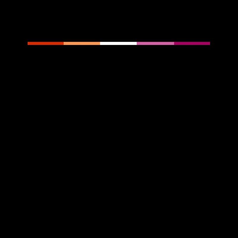 Minimalist Lesbian Pride Flag Discreet