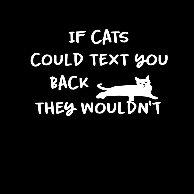 Chat drôle chat dame chat