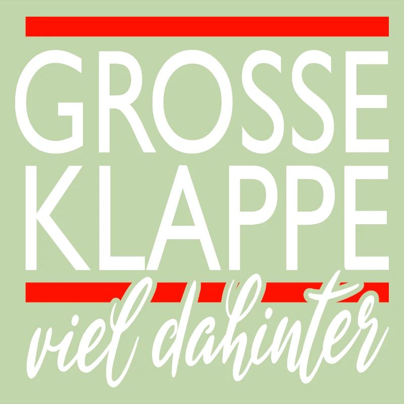 große klappe - viel dahinter
