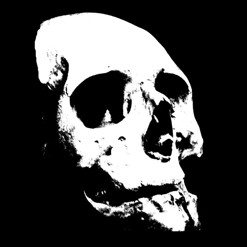 Skull Skull Skull Halloween Gothic Gift