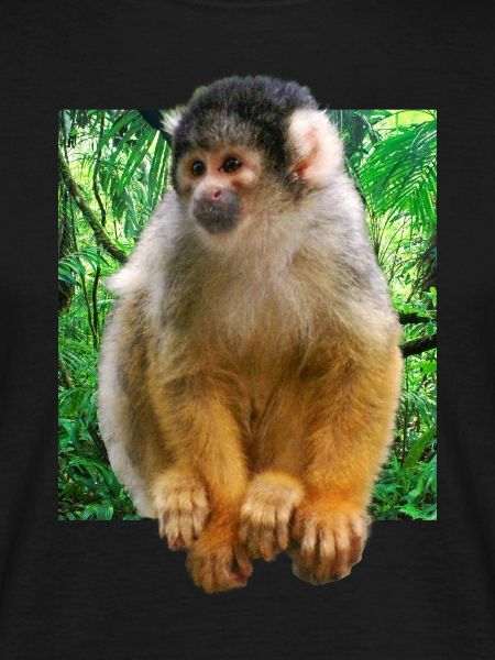 Skull monkey squirrel monkey