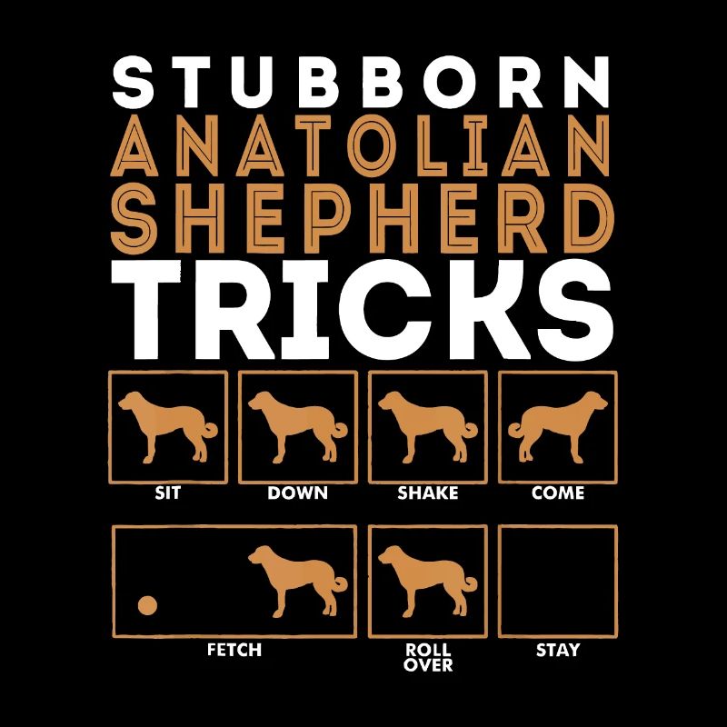 Stubborn Anatolian Shepherd Dog Tricks
