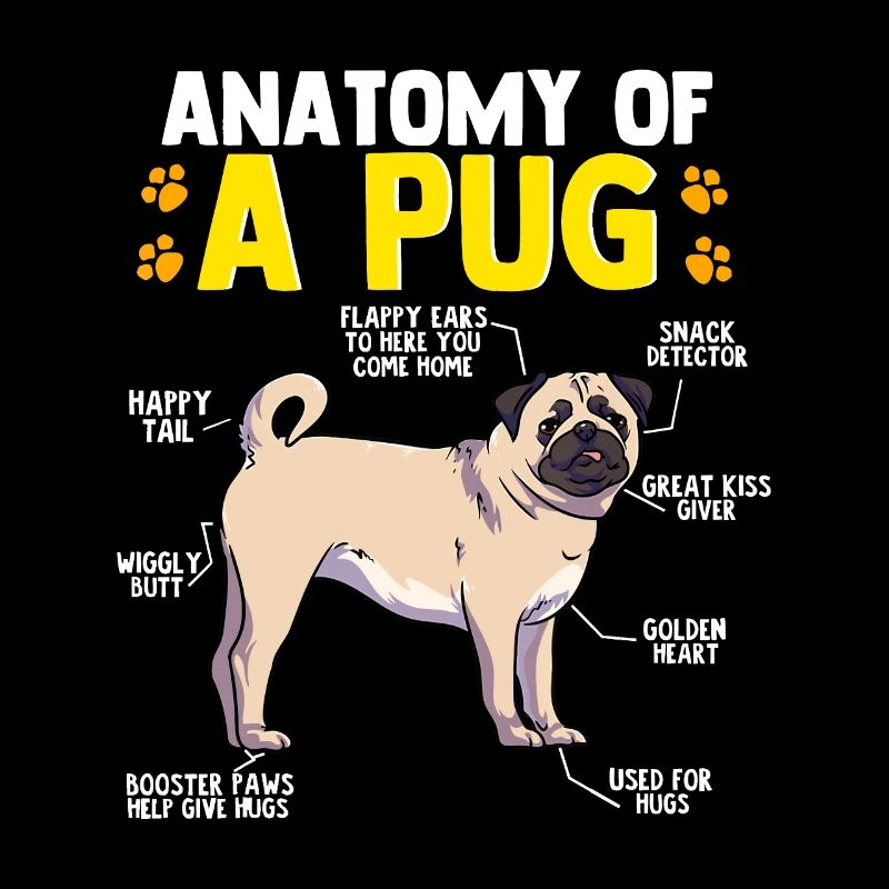 Anatomie eines Mops Hund Lustiger Hund Liebhaber Giftkawaii pu