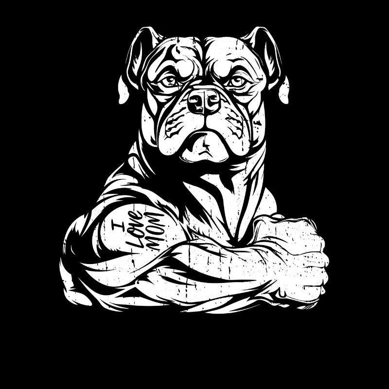 American Bully J’aime Papa