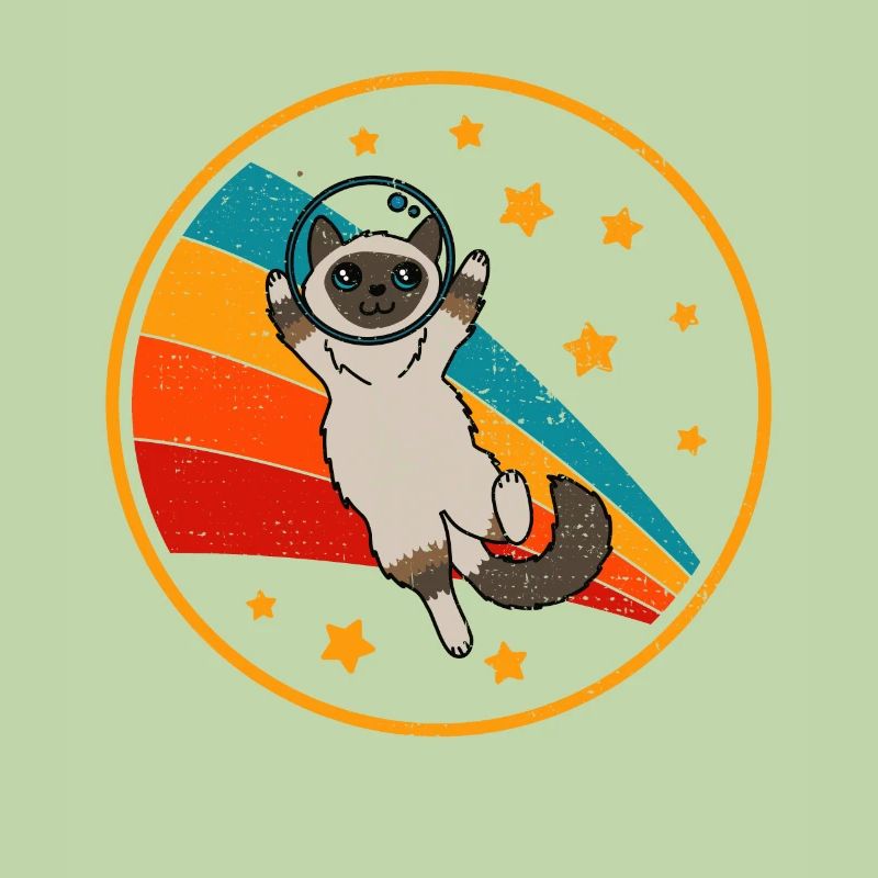 Birma Birma Katze Space Cat