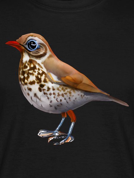 Thrush bird